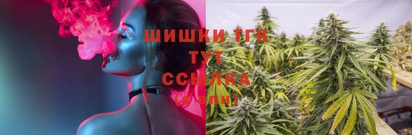 МДПВ Абаза