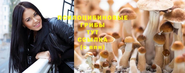МДПВ Абаза
