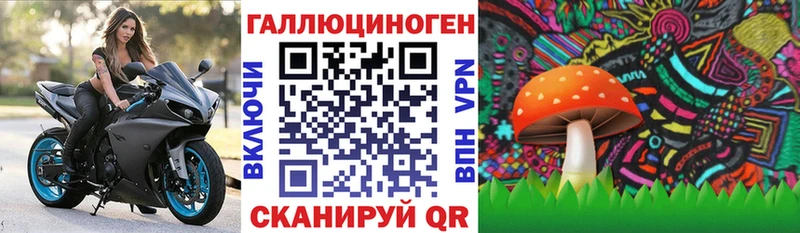 Псилоцибиновые грибы Psilocybine cubensis  Зеленокумск 